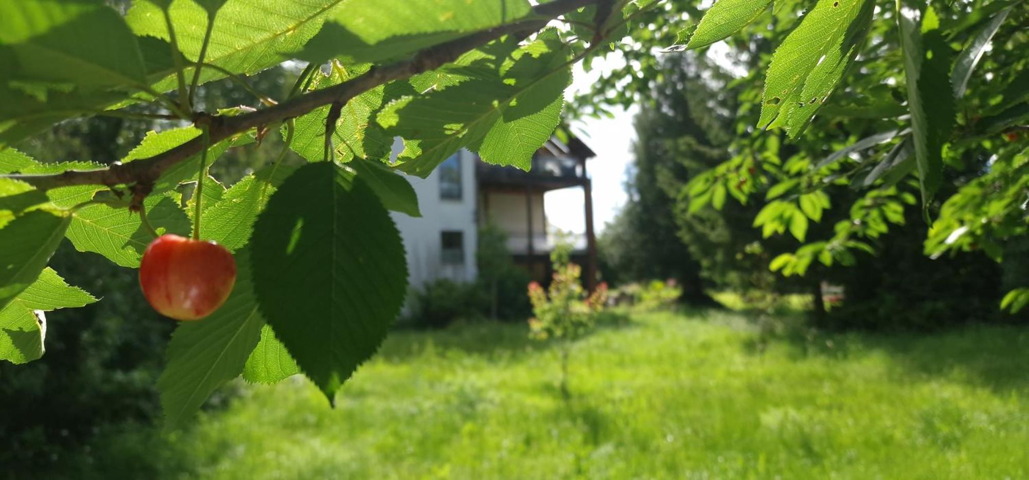 Apartamento Darkwolf House Merseburgo Exterior foto