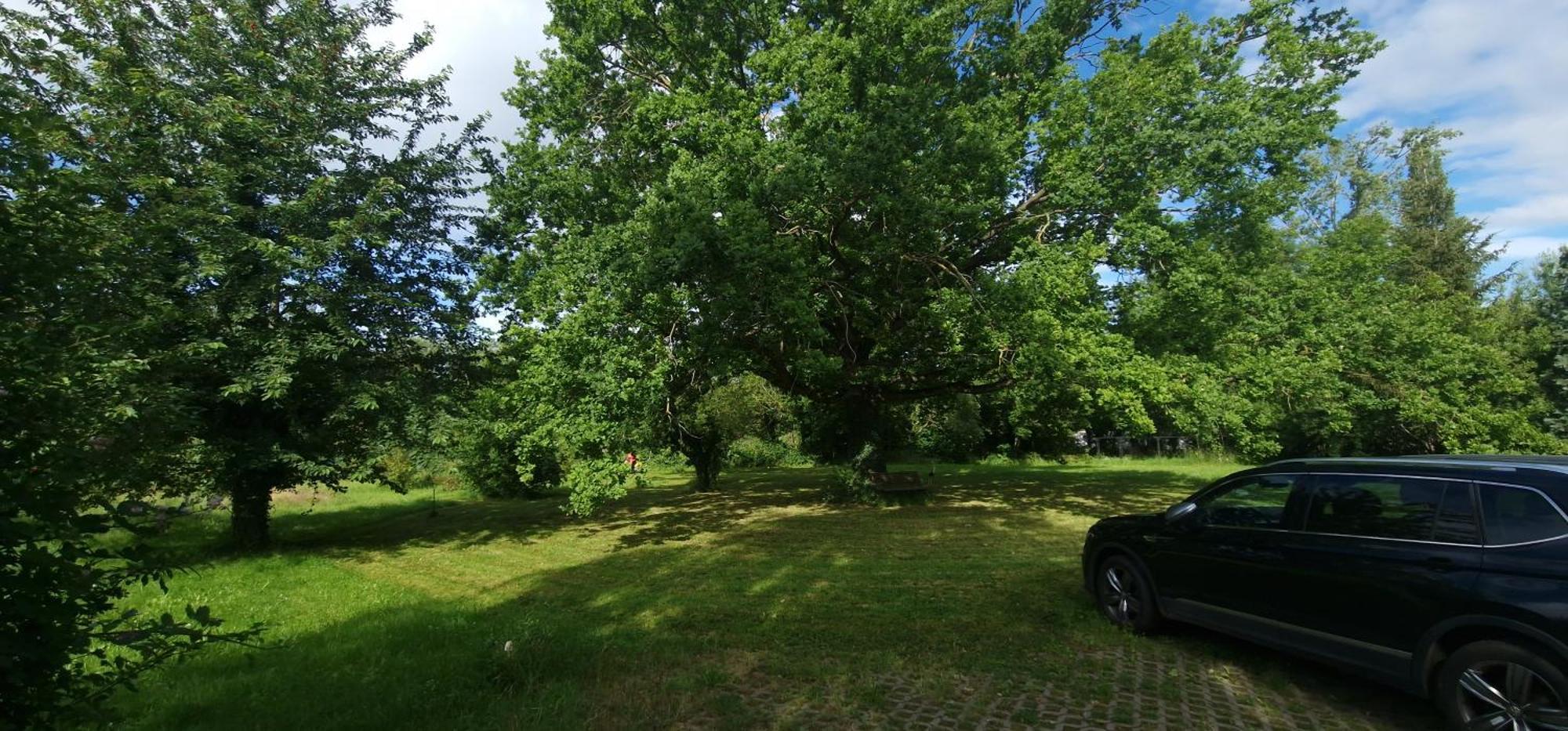 Apartamento Darkwolf House Merseburgo Exterior foto